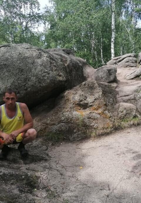  52976794  , 43 ,    