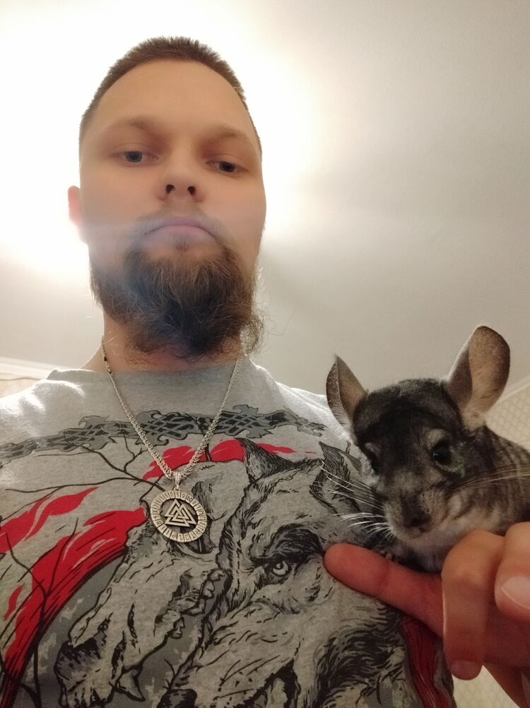 ���������� ������, ���� ������� �����, 37 ���, ������������ ��� ������, ����� � ���������, c�������� ���������, ���������