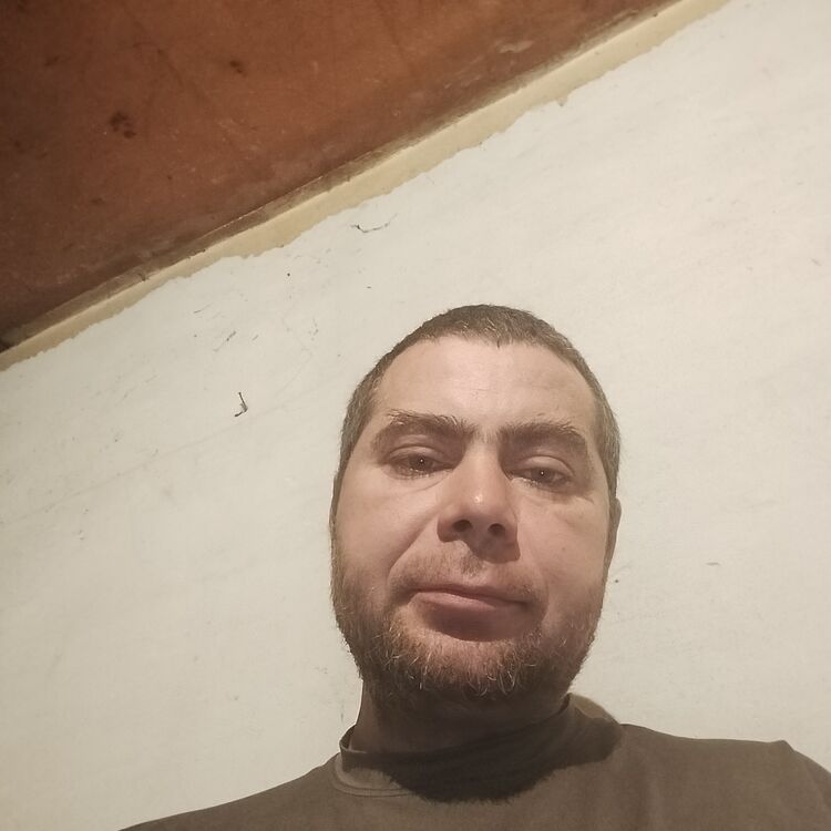  40643694  , 41 ,    