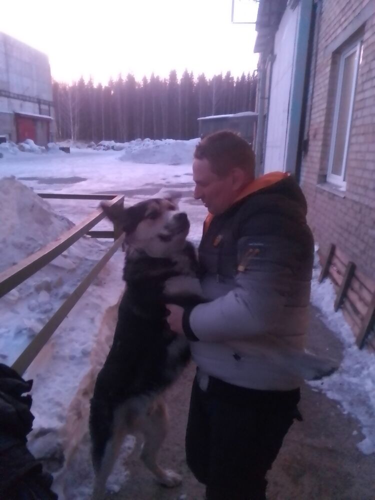  32011854  , 50 ,    Moscow