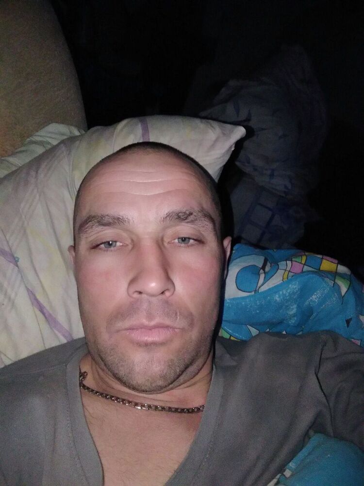  33454064  , 41 ,    