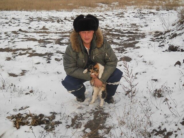 ���������� �������, ���� ������� ������, 41 ���, ������������ ��� ����� � ���������, c�������� ���������