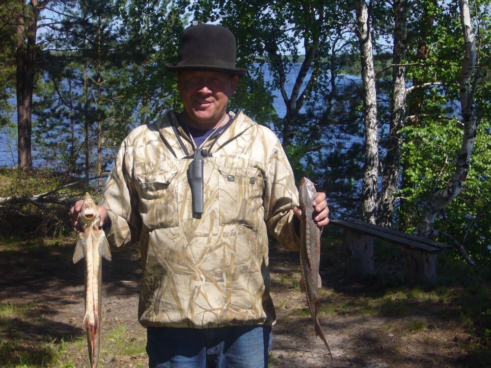 ���� 50578254 ������� �����, 56 ���, ���� ���������� � �������