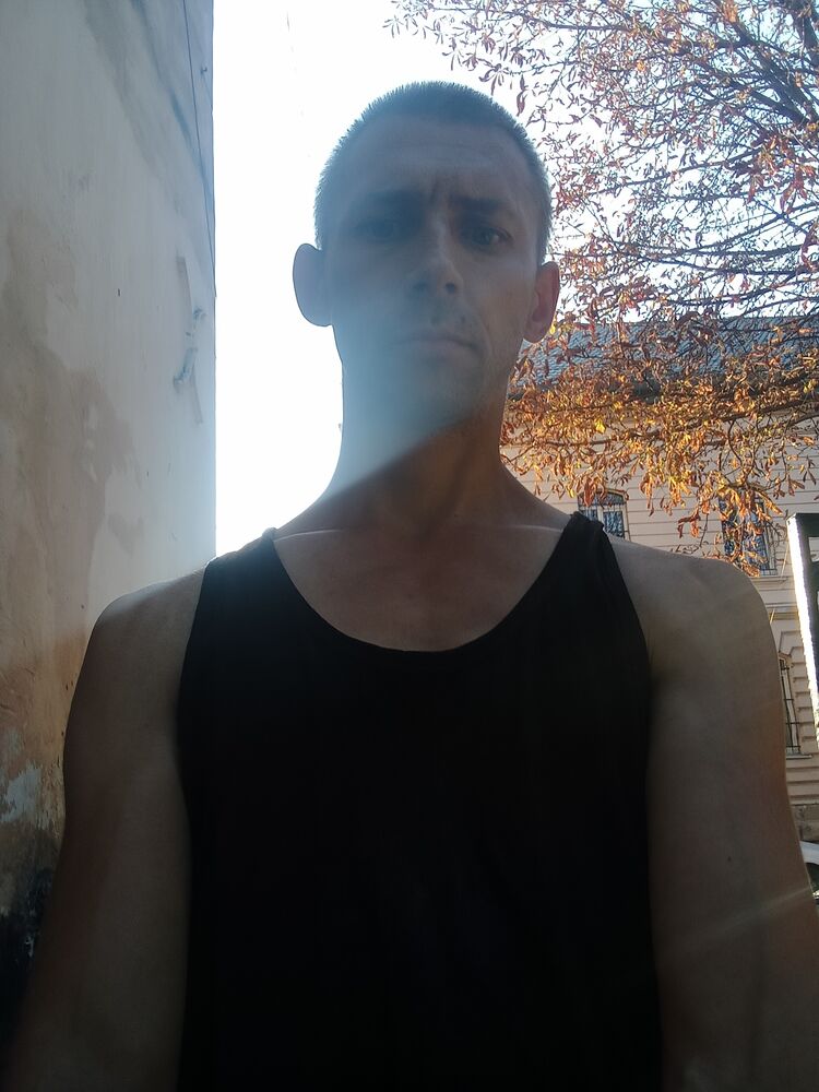  46463604  , 40 ,    