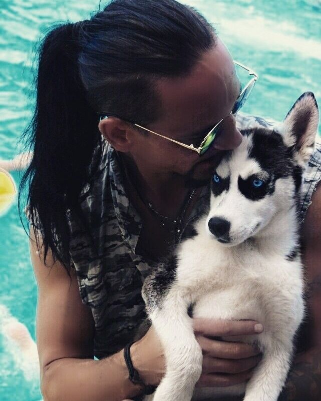 ���������� ������, ���� ������� ����, 39 ���, ������������ ��� ������, ����� � ���������, c�������� ���������