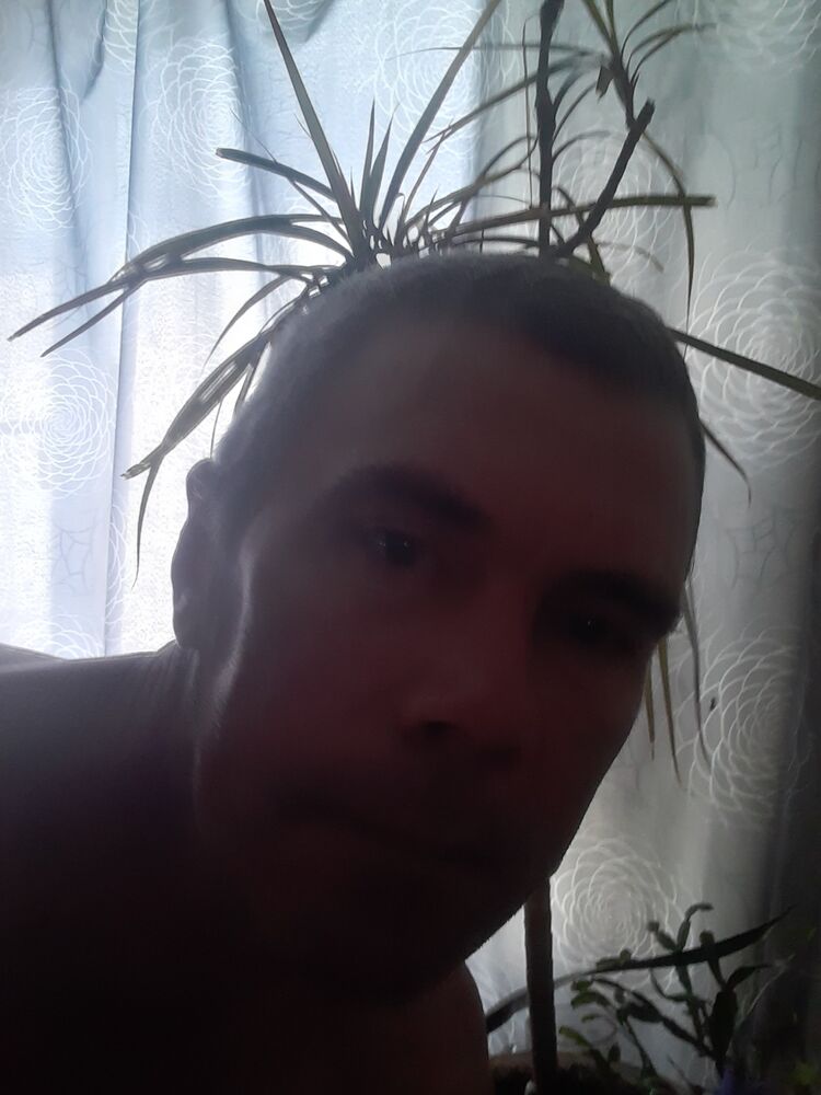  45340414  , 51 ,    