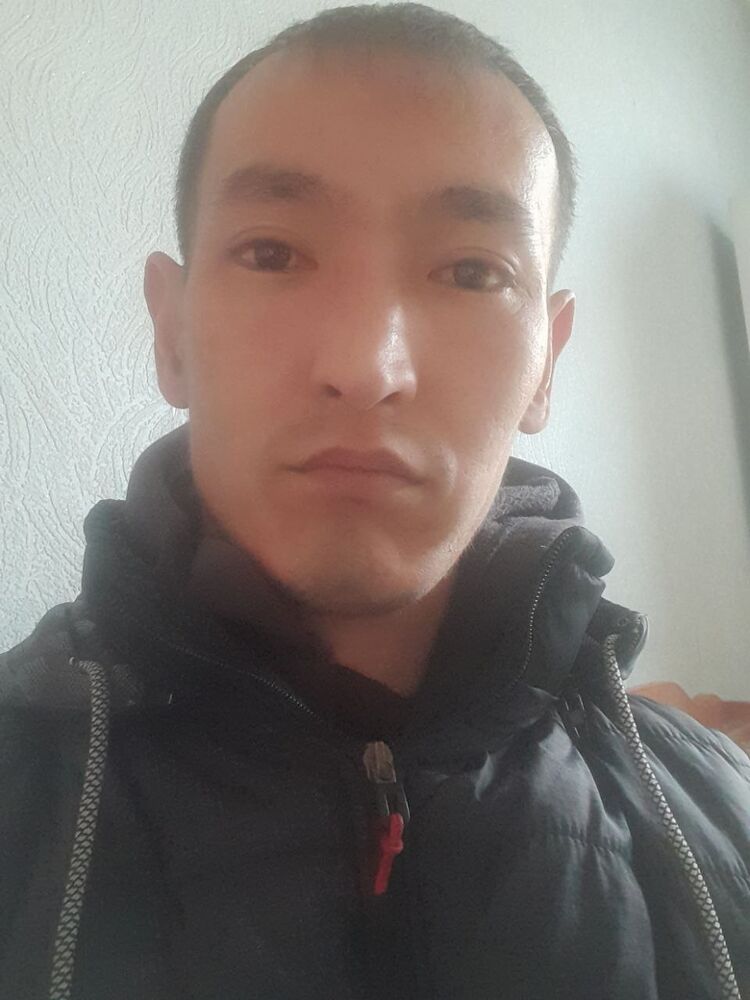 ���� 31680204 ������� ����, 33 ����, ���� ���������� � �������