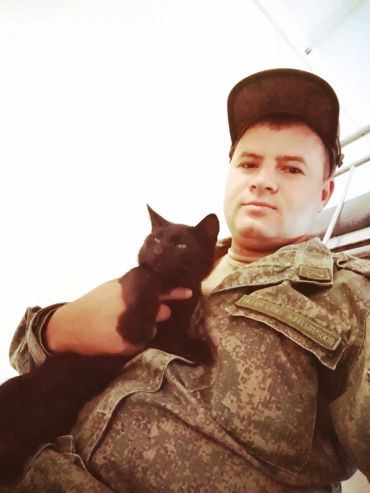  31341664  , 32 ,    -