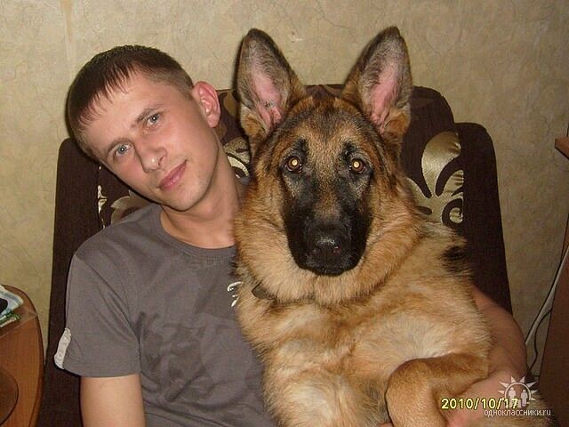 ���� 7129744 ������� ���������, 43 ����, ���� ���������� � ������