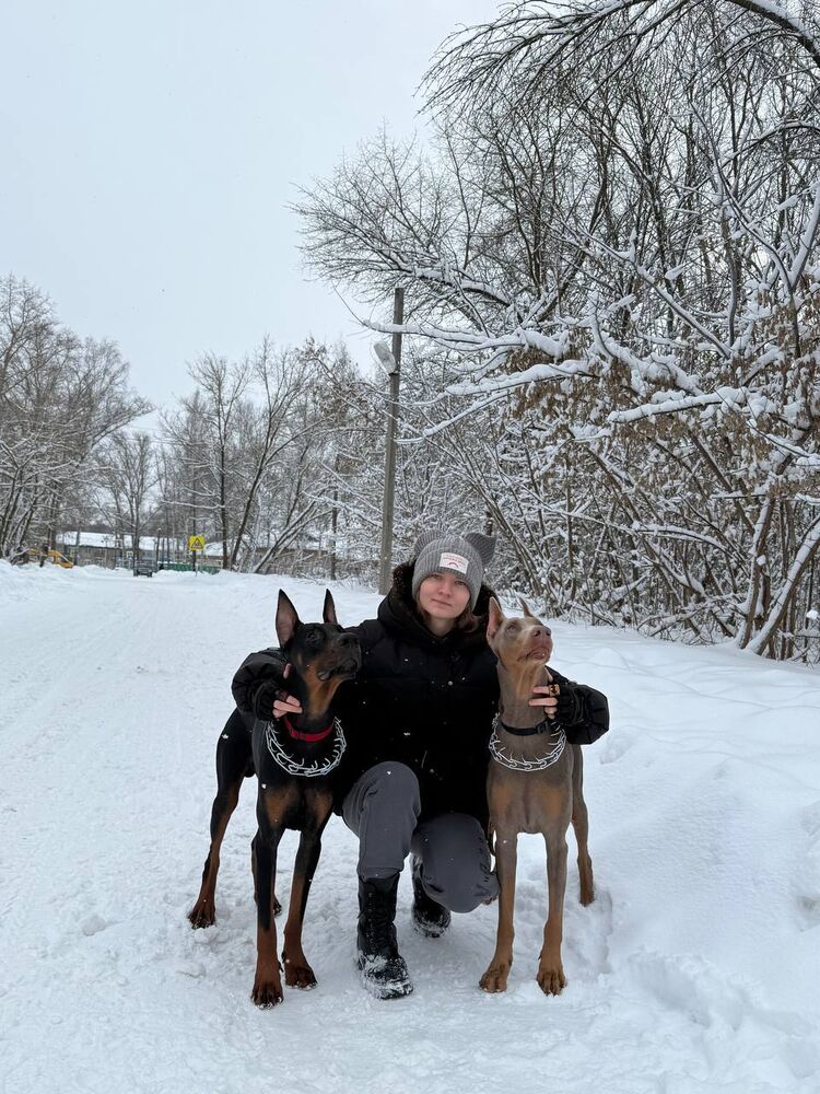 ���������� ������, ���� ������� ������, 18 ���, ������������ ��� ������, ����� � ���������