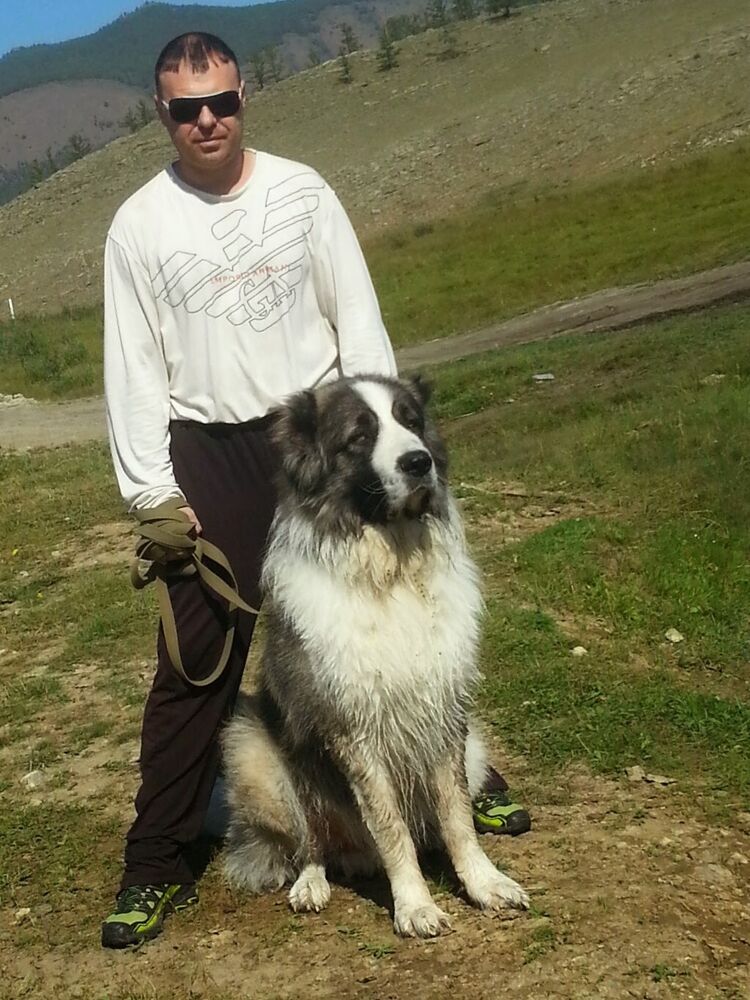 ���� 26983594 ������� ������, 46 ���, ���� ���������� � ��������