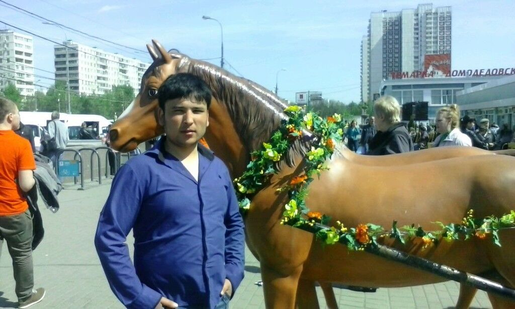 ���� 19208094 ������� ���, 33 ����, ���� ���������� � ������