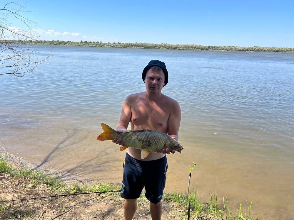 ���������� ��������, ���� ������� ������, 29 ���, ������������ ��� ������, ����� � ���������, c�������� ���������