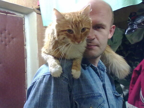 ���� 6424534 ������� LELIK, 46 ���, ���� ���������� � ������