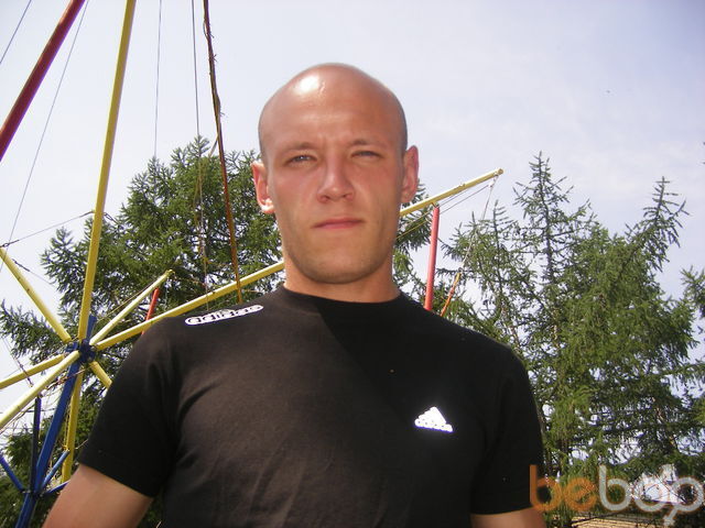 ���� 1005464 ������� �������, 40 ���, ���� ���������� � ����������