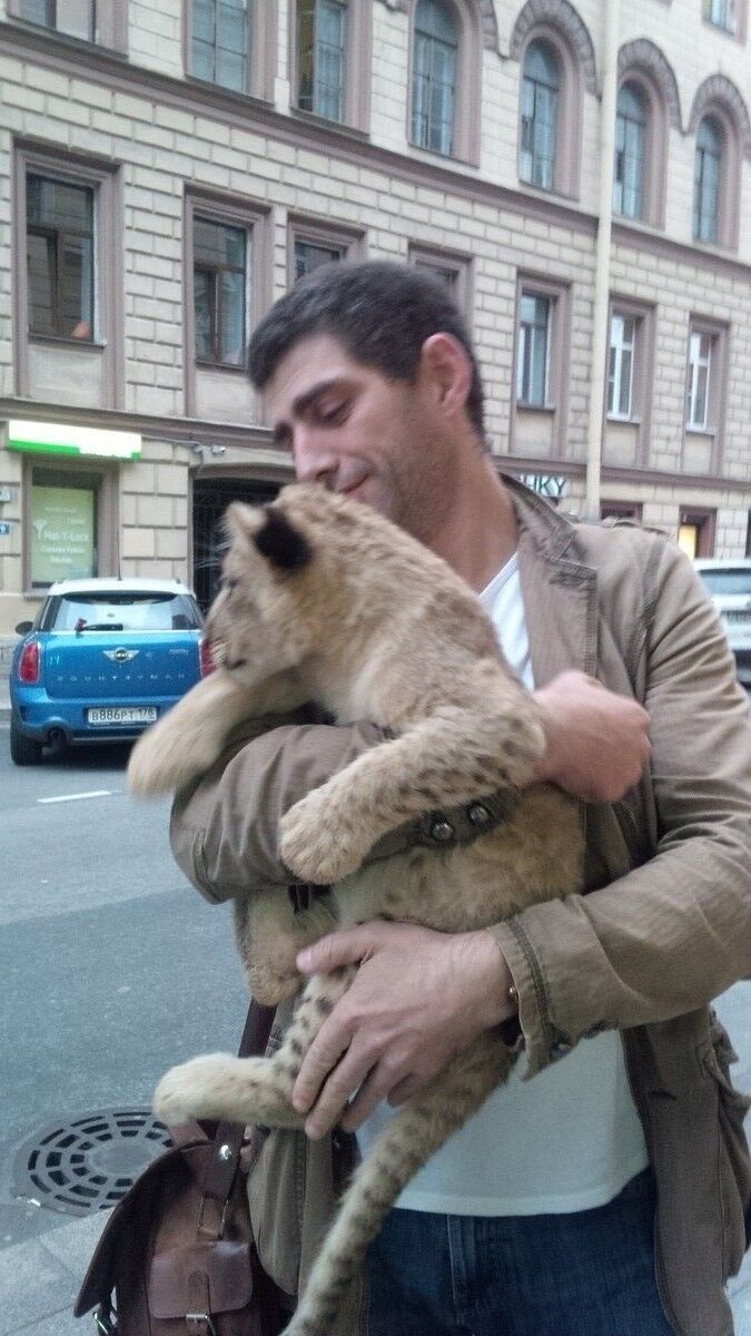 ���� 7965064 ������� ����, 49 ���, ���� ���������� � �����-����������