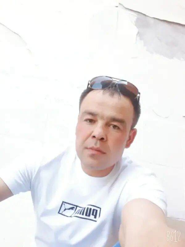 23695054  , 38 ,    