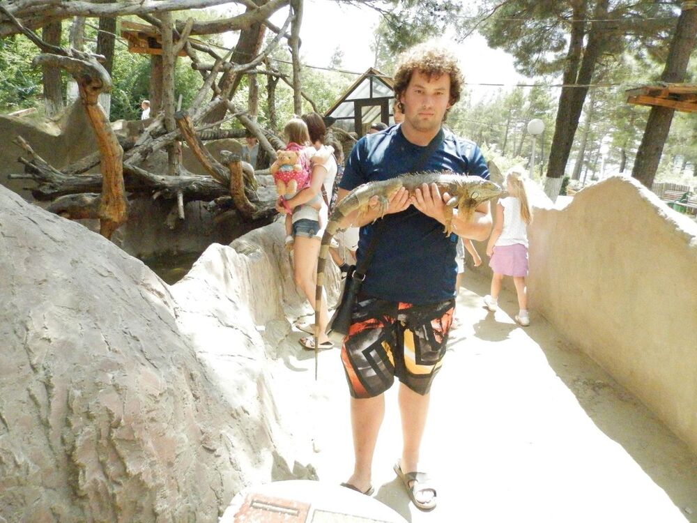 ���� 9046244 ������� �������, 31 ���, ���� ���������� � ����