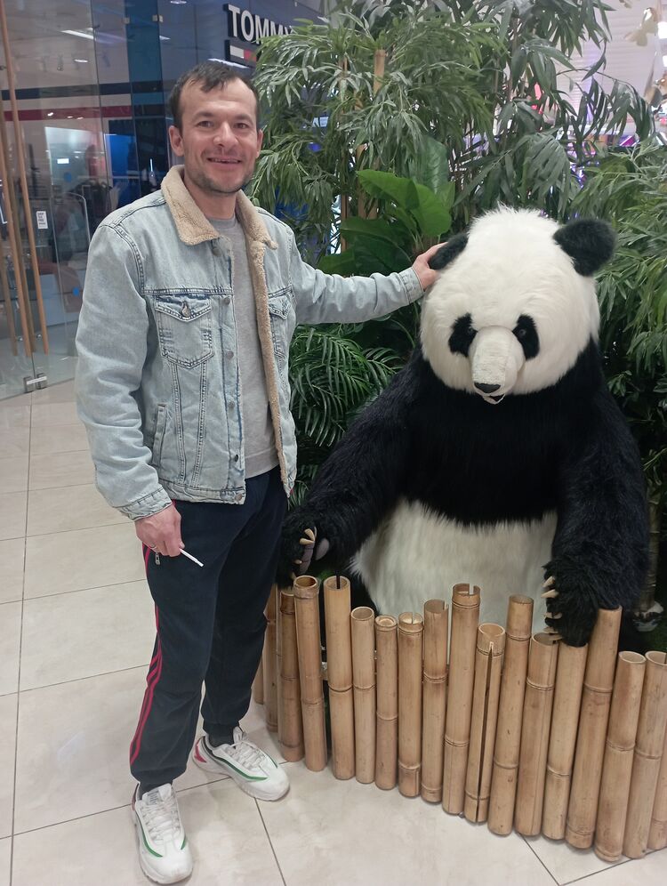 ���� 27065804 ������� �����, 36 ���, ���� ���������� � ������