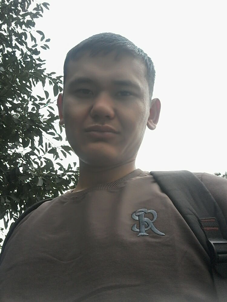  23740634  , 29 ,    