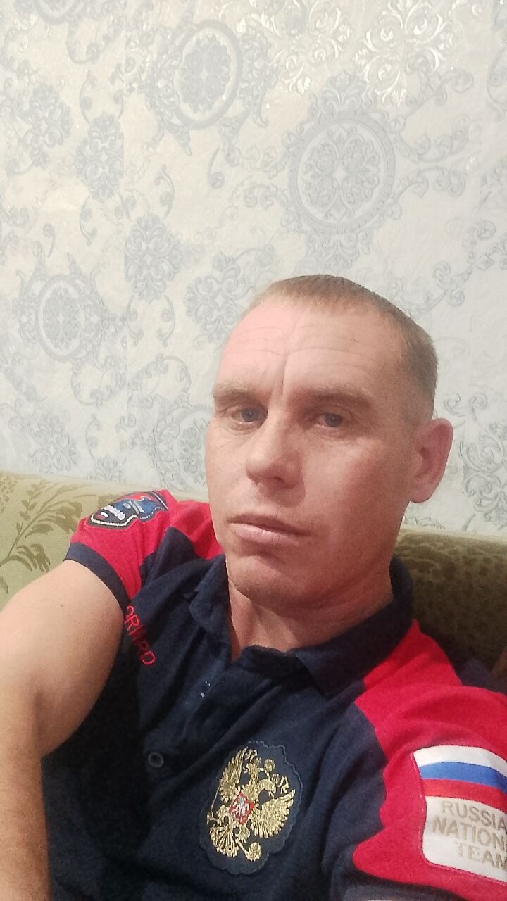  49112584  , 31 ,    
