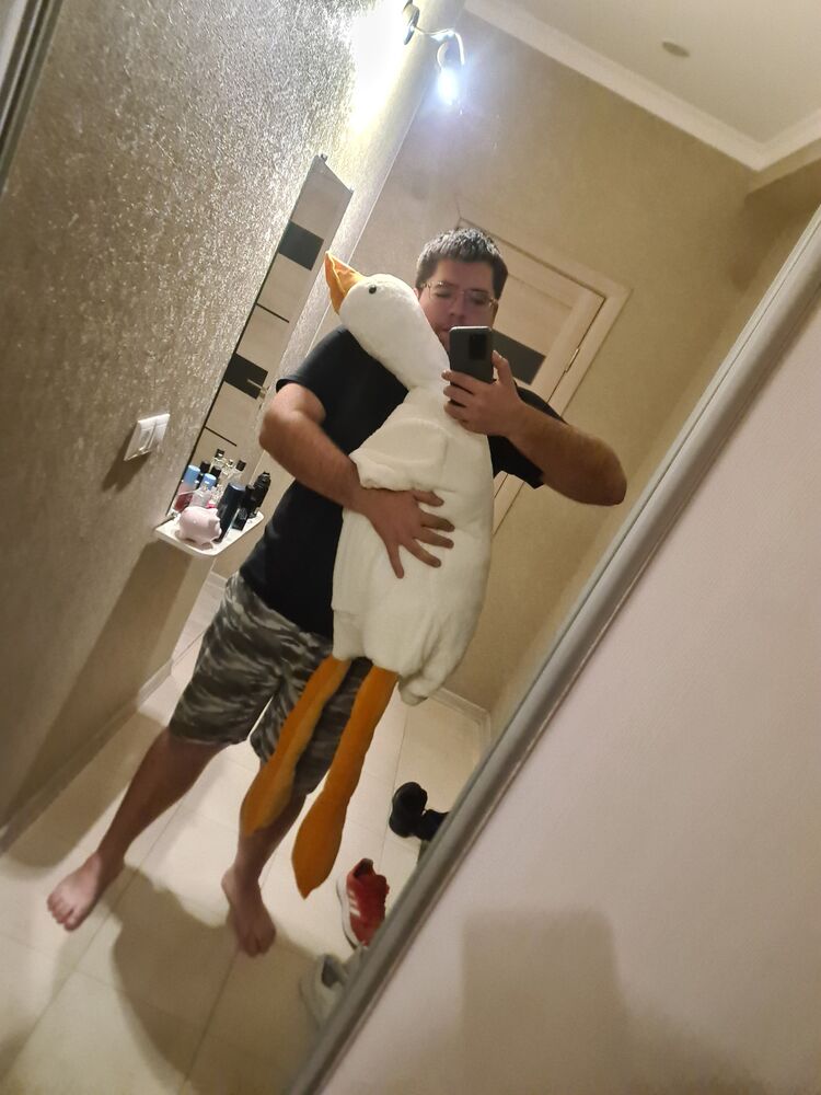 ���� 33379444 ������� ����, 29 ���, ���� ���������� � ������