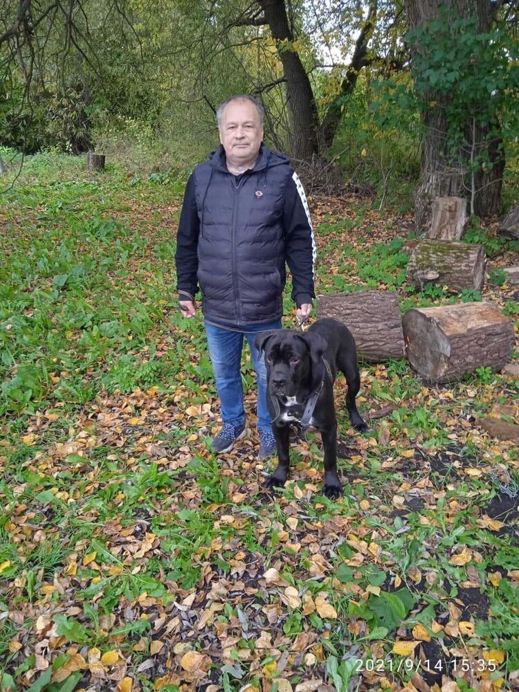 ���� 25628384 ������� ��������, 60 ���, ���� ���������� � ������