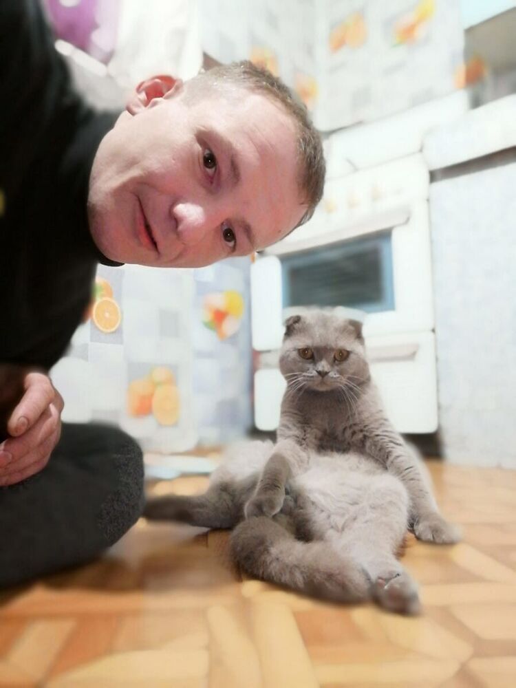 ���� 22590214 ������� Ip, 39 ���, ���� ���������� � ��������