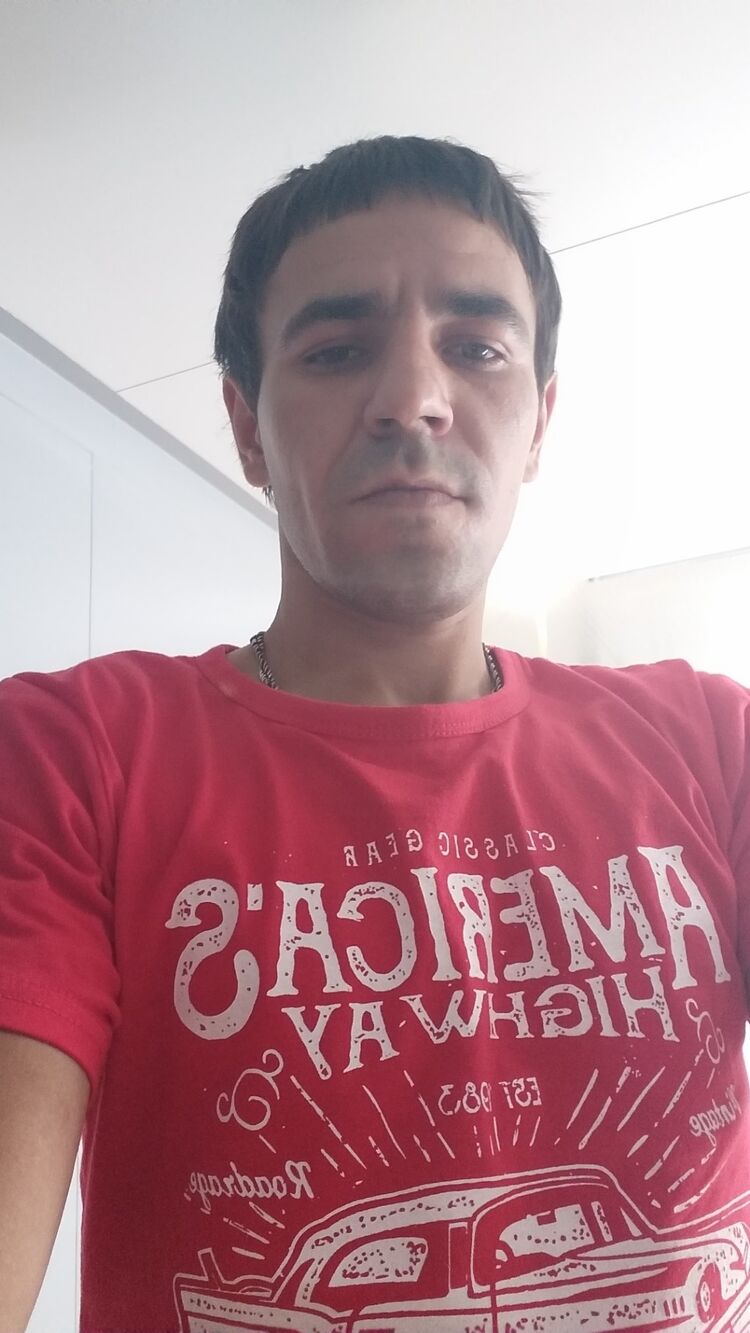  29474284  , 31 ,    