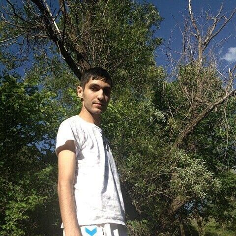 ���� 39908334 ������� Arman, 38 ���, ���� ���������� � �������