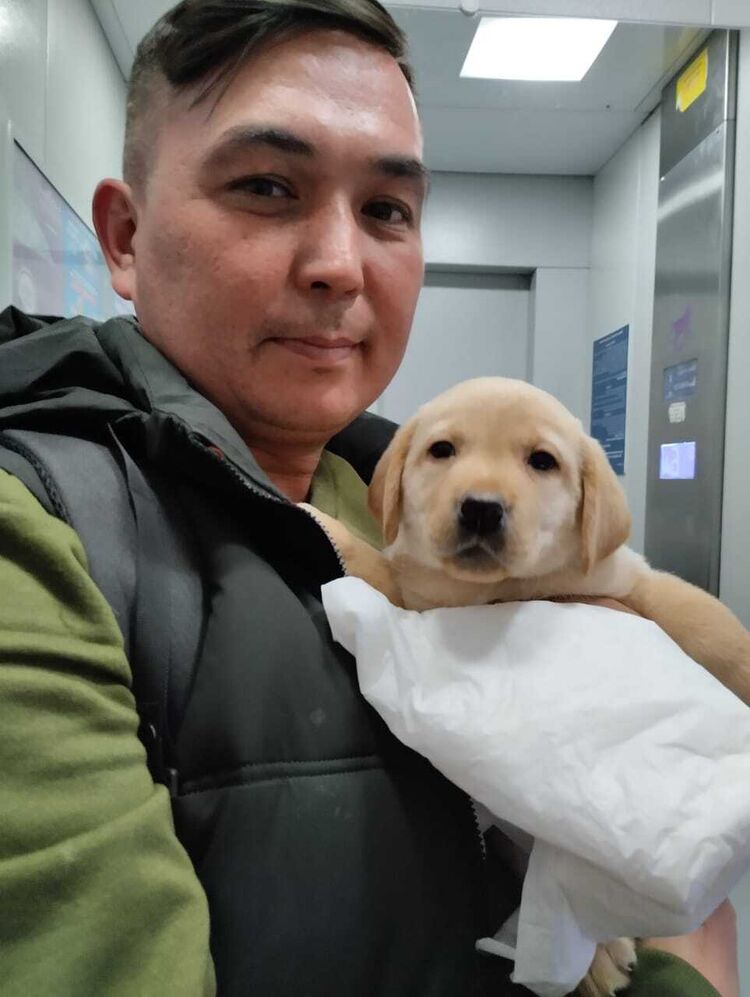 ���� 30855174 ������� �����, 40 ���, ���� ���������� � �����������