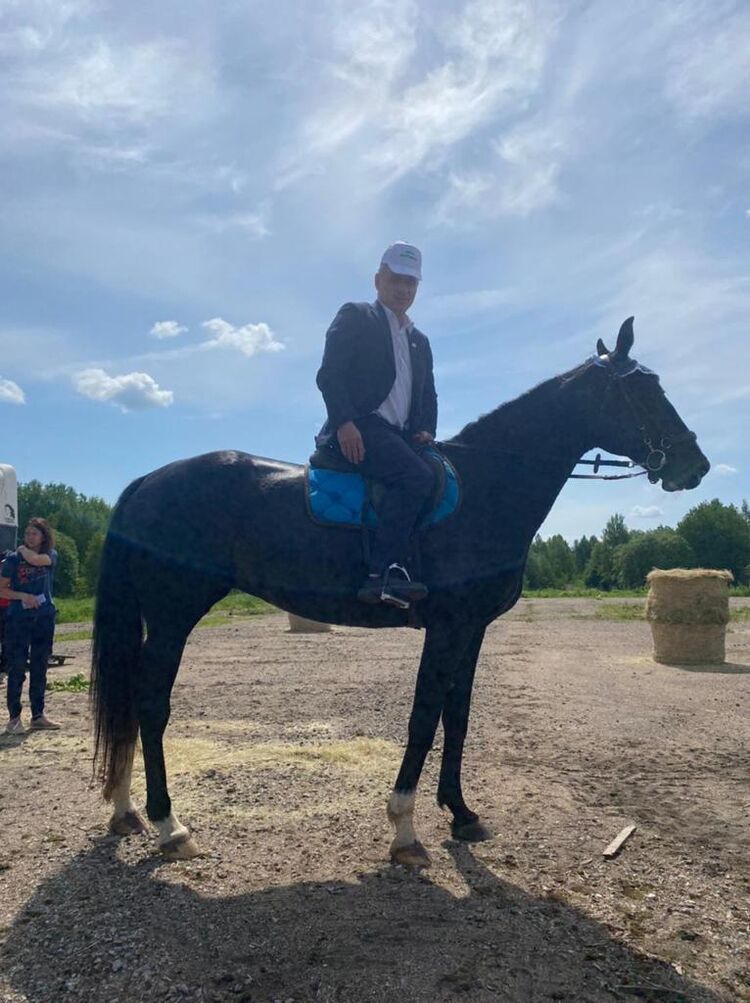 ���� 54253444 ������� �����, 36 ���, ���� ���������� � ������