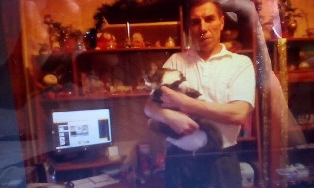 ���� 23060734 ������� ��������, 64 ����, ���� ���������� � �����-����������