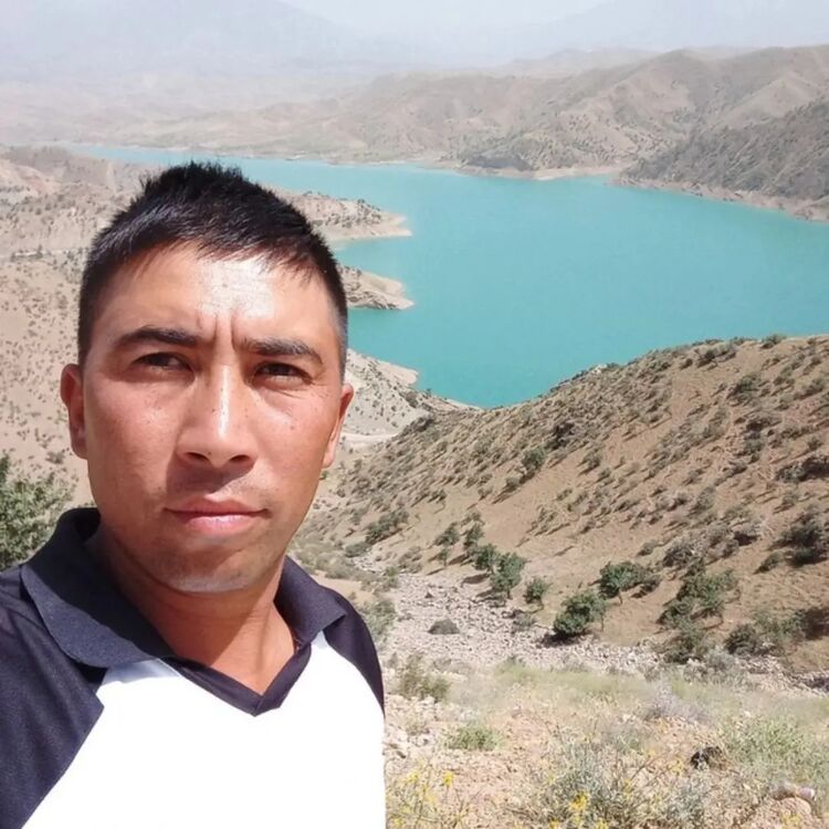 ���� 56116414 ������� �������, 36 ���, ���� ���������� � ������