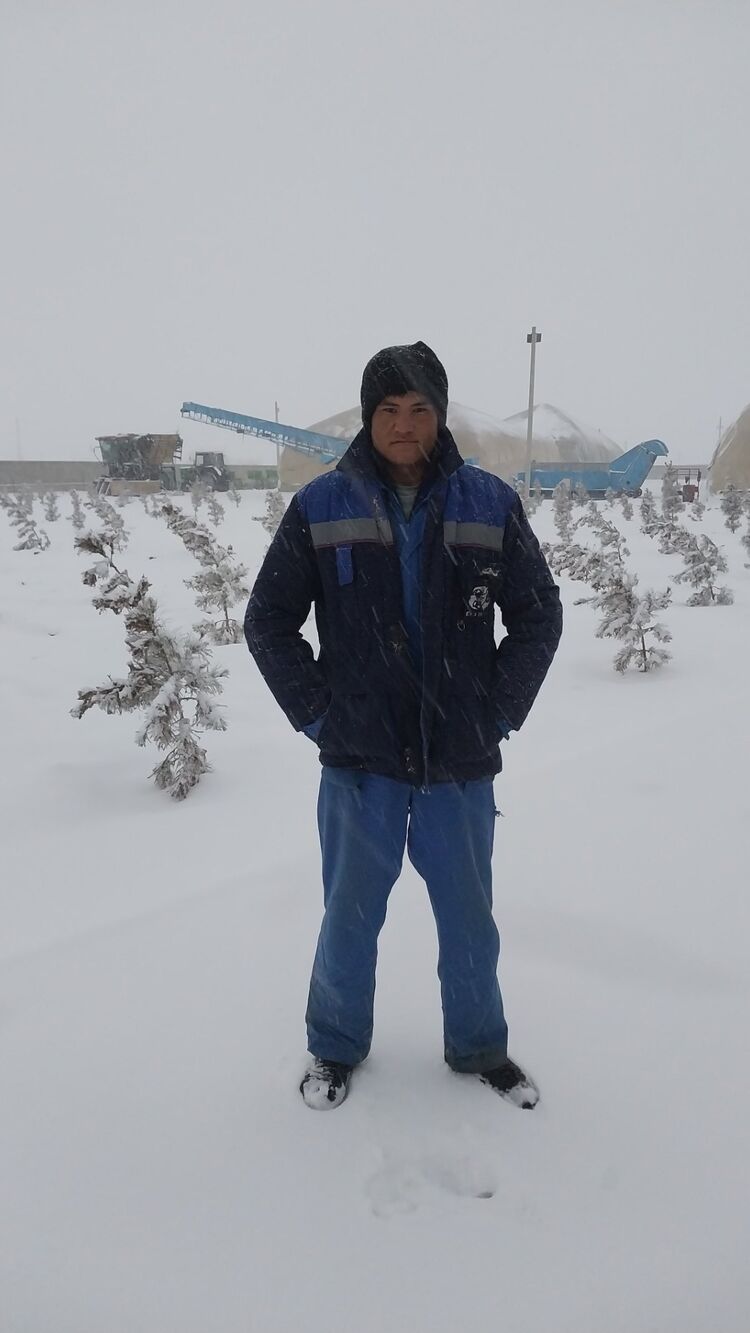 ���� 56043164 ������� ������, 29 ���, ���� ���������� � ������