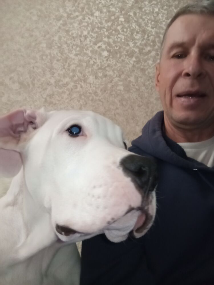 ���� 55362354 ������� ���������, 50 ���, ���� ���������� � �����������