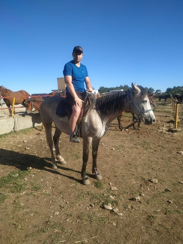 ���� 51413724 ������� �����, 39 ���, ���� ���������� � ������