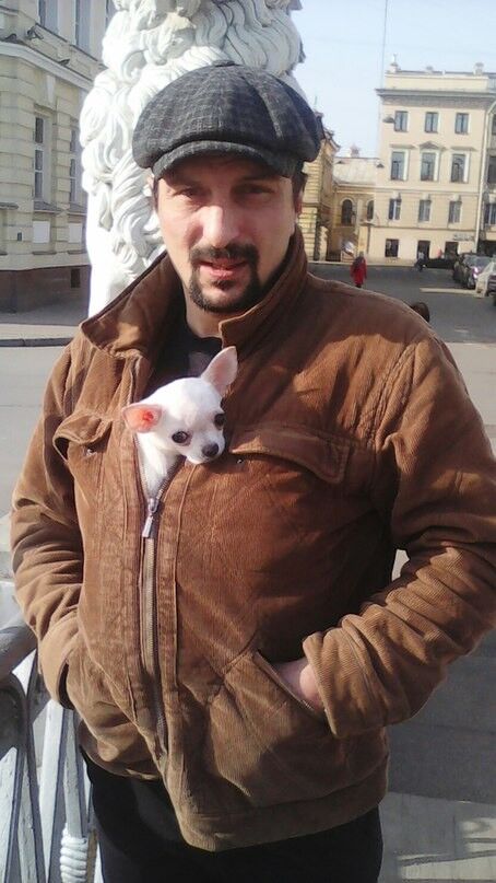  8097954  , 49 ,    -