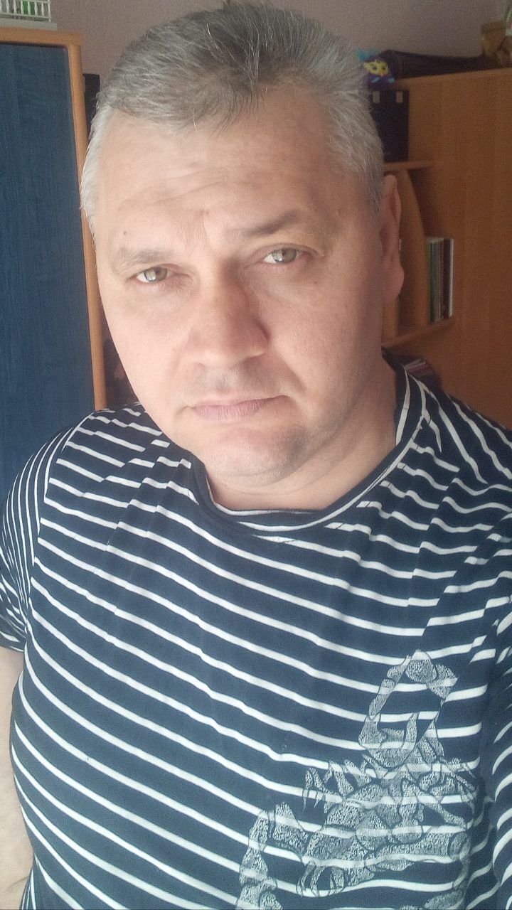 ���� 56038104 ������� ���������, 50 ���, ���� ���������� � ����������