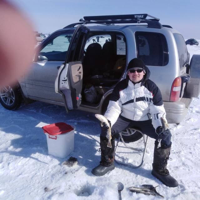 ���� 53795994 ������� ���������, 36 ���, ���� ���������� � ��������