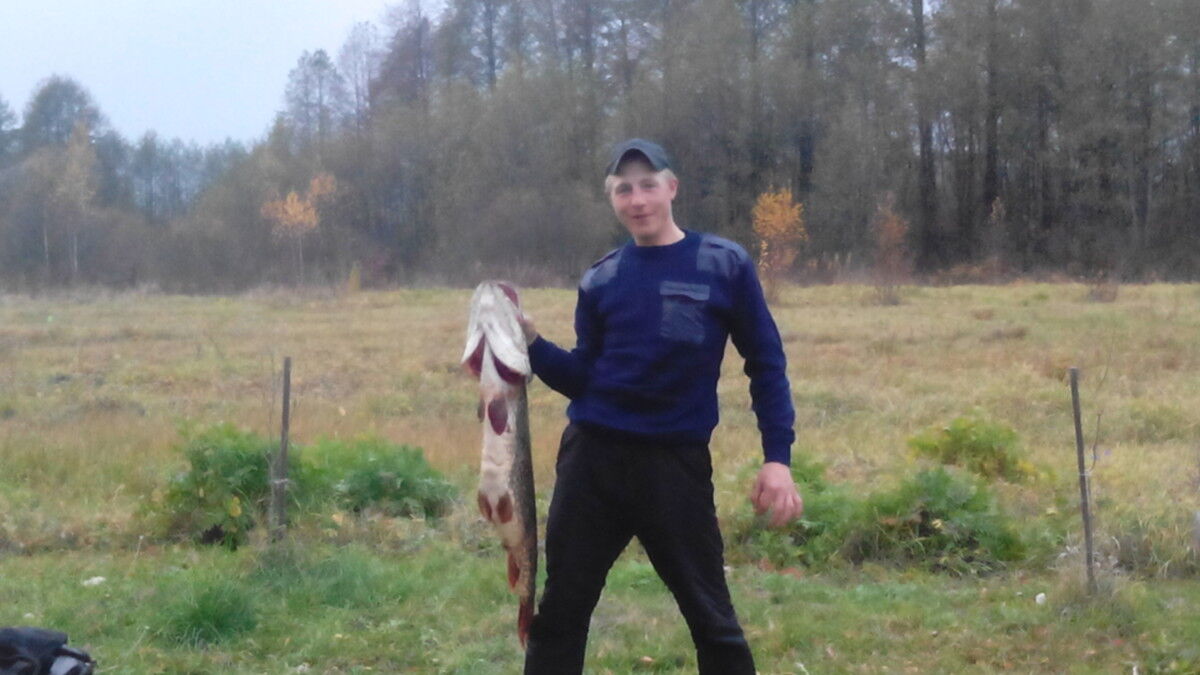 ���������� �����, ���� ������� ������, 38 ���, ������������ ��� ������