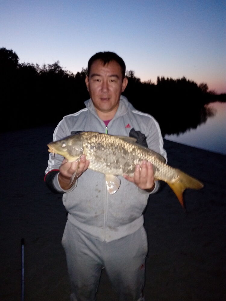 ���� 17416394 ������� �����, 37 ���, ���� ���������� � ������