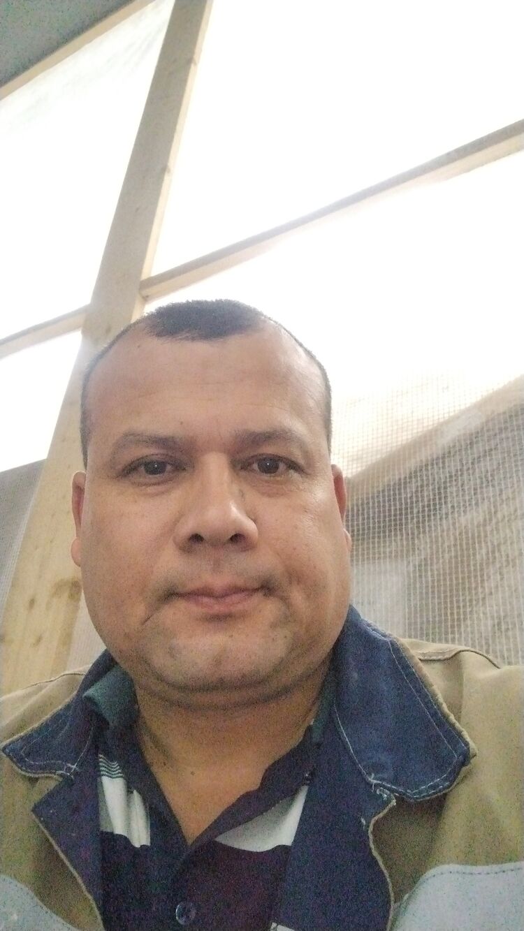  45983714  , 41 ,    