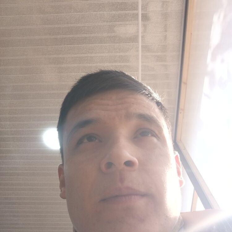  48033394  Azizbek, 24 ,    
