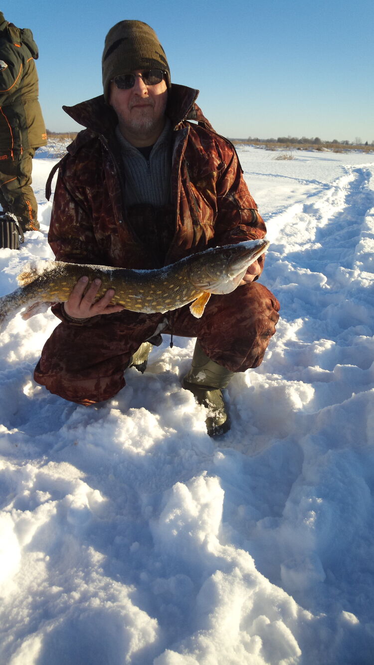 ���� 56215674 ������� ��������, 59 ���, ���� ���������� � �������