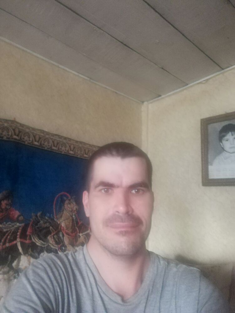 ���� 24128264 ������� �����, 38 ���, ���� ���������� � ���