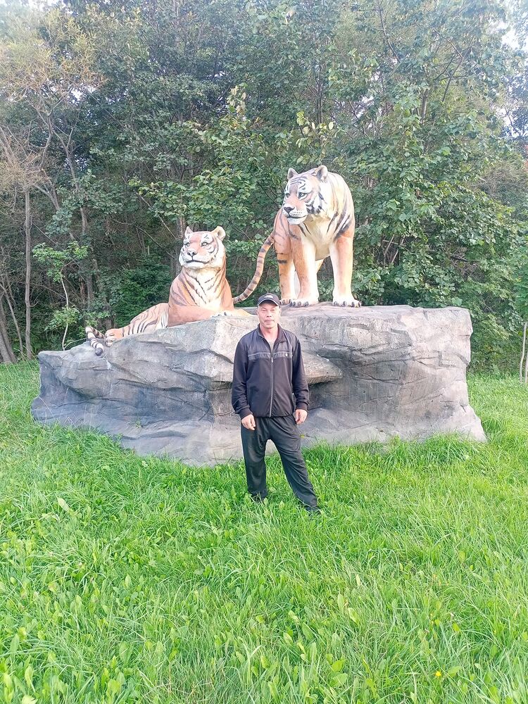  54004584  , 39 ,    -