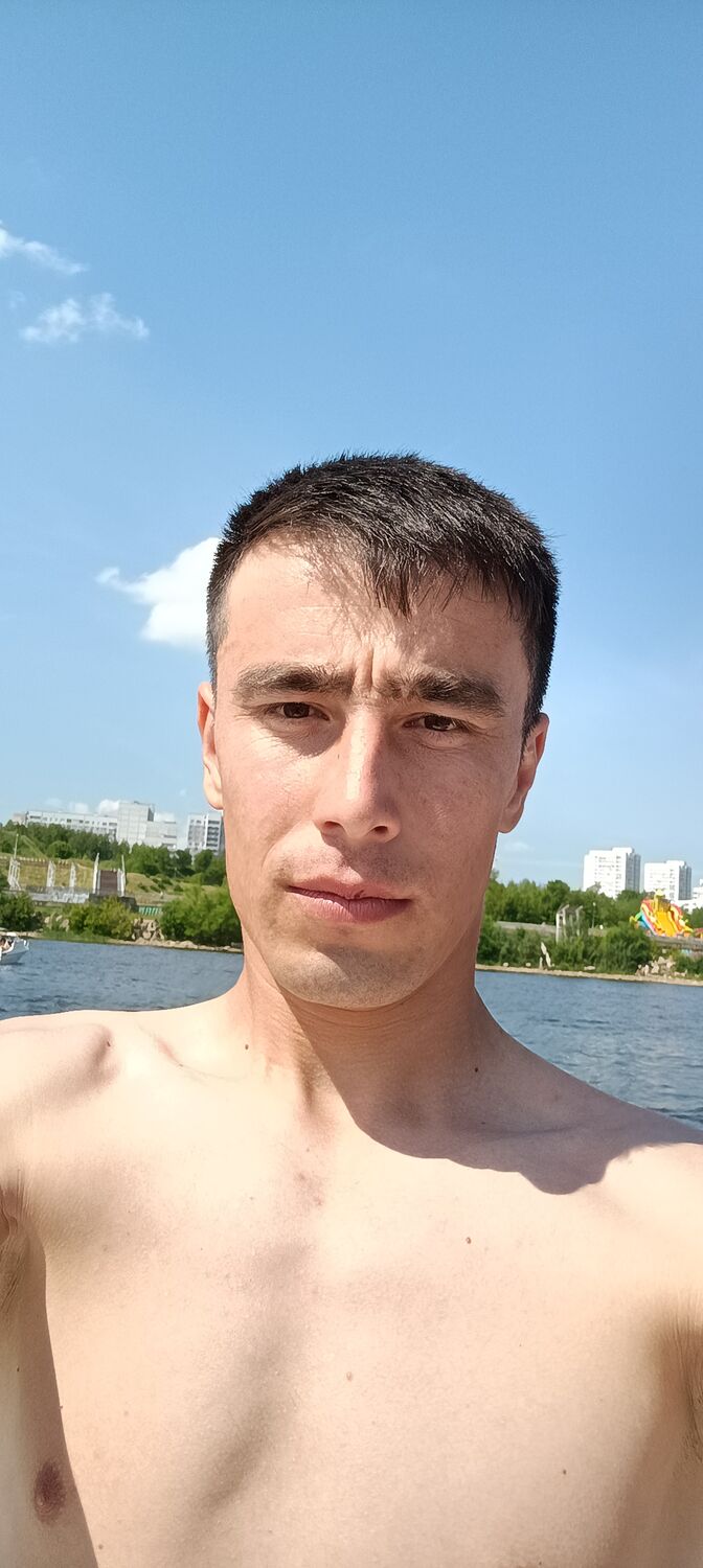  28308384  , 29 ,     
