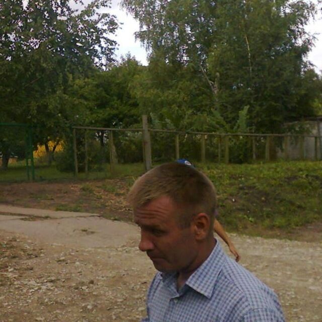  41461504  , 50 ,    