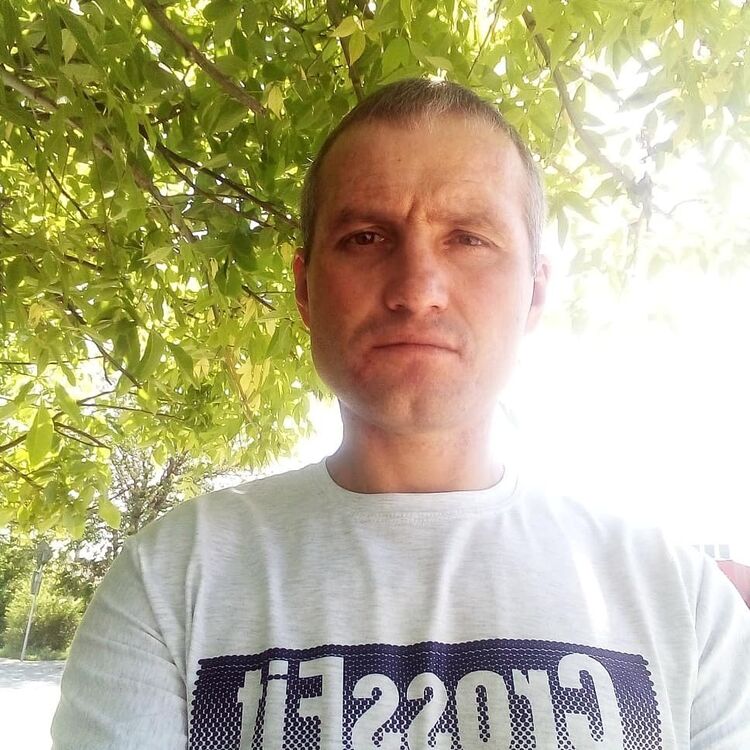  16094064  , 44 ,    
